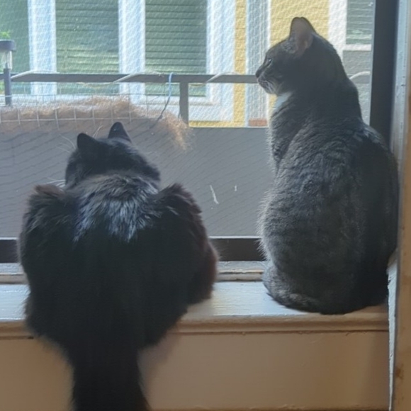 🥄🧹 LIVE! Flyer SPOONSNBROOMS IS LIVE! 🥄🧹 - Picture 4 of 10